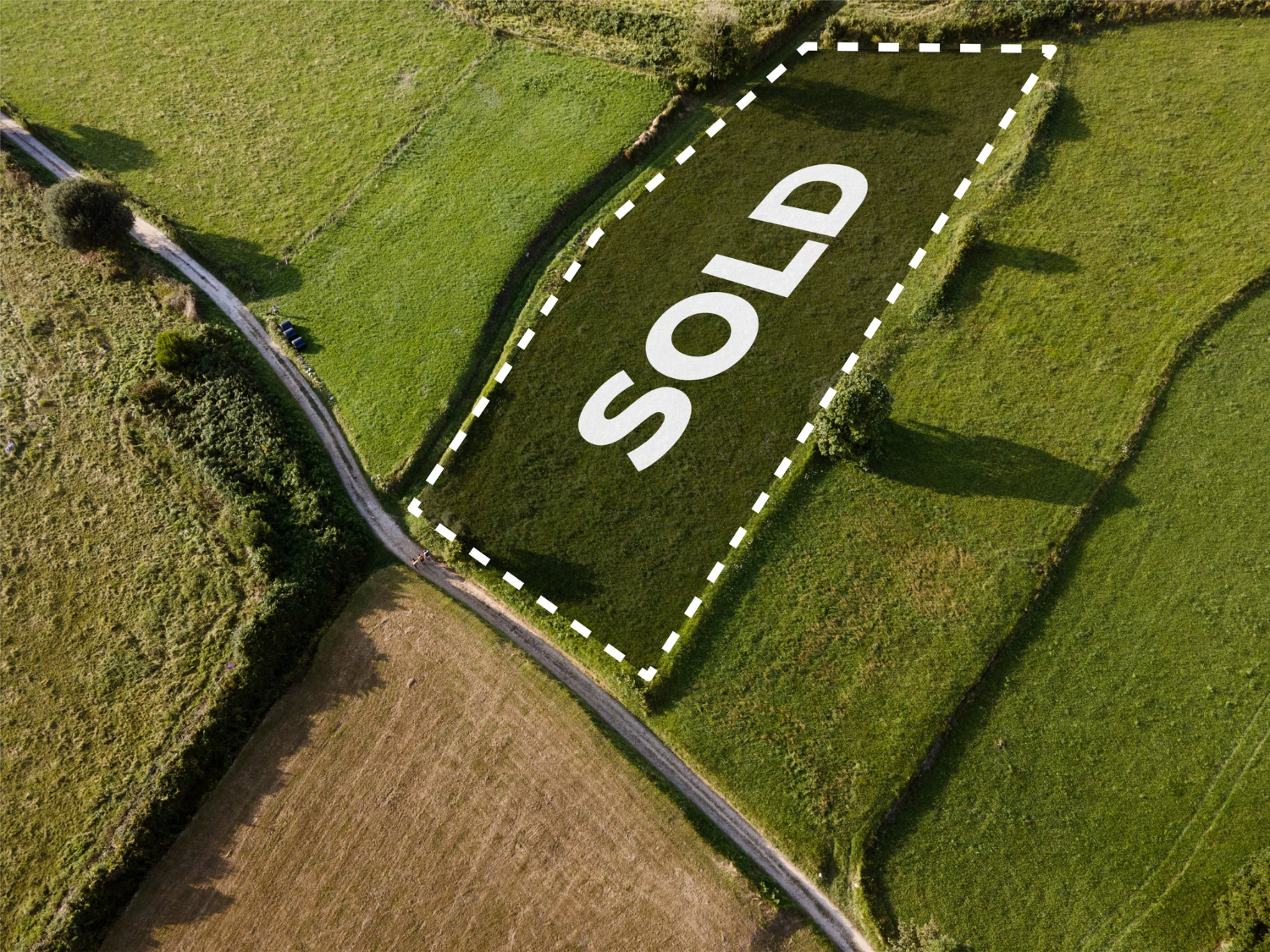 Trova il terreno perfetto: le scelte di terreno che daranno forma alla tua futura casa